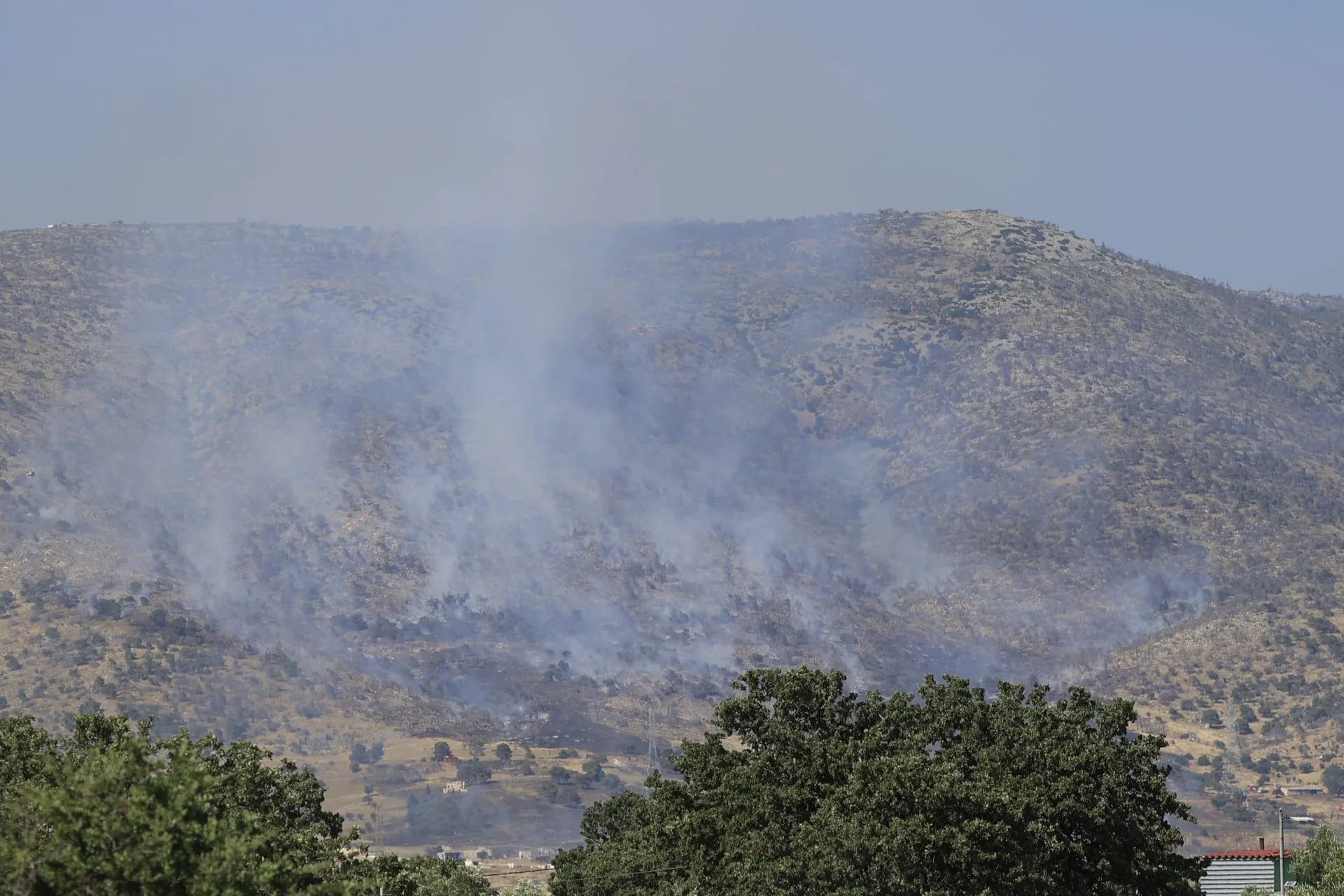 Πυροσβέστες επιχειρούν σε δασική πυρκαγιά