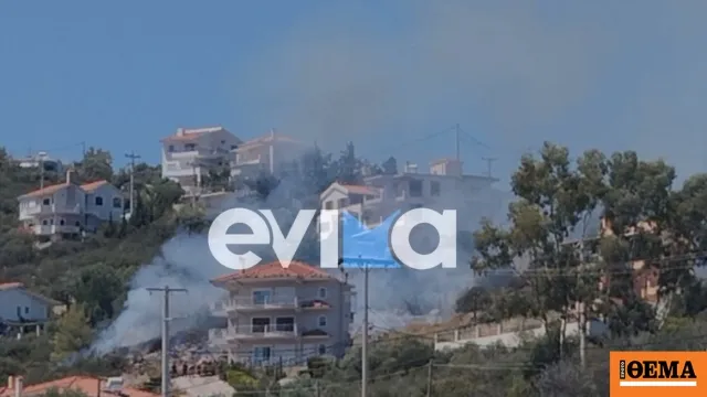 Πυροσβεστικά οχήματα σε φωτιά στο Αλιβέρι Εύβοιας