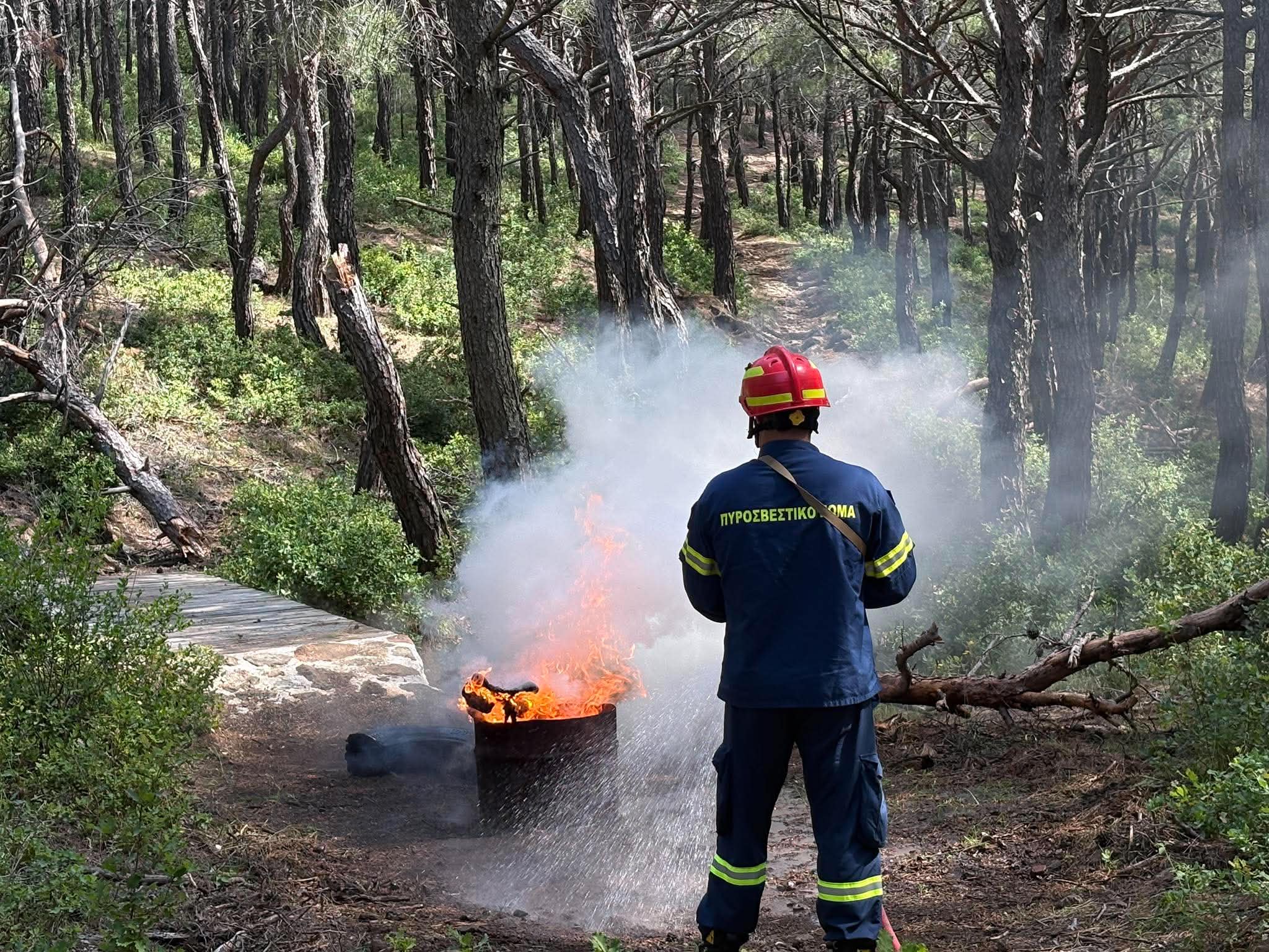 Πυροσβέστες επιχειρούν σε αγροτοδασική πυρκαγιά