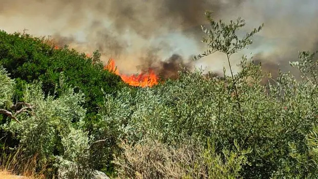 Χάρτης πρόβλεψης κινδύνου πυρκαγιάς σε περιοχές της Ελλάδας