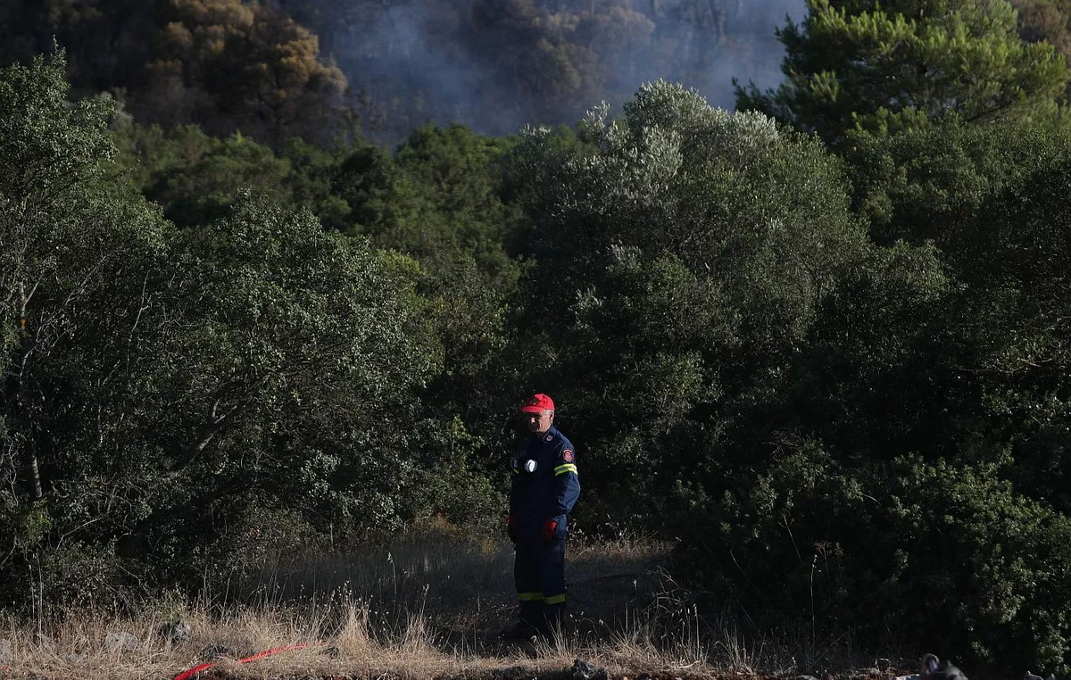 Πυροσβεστικές δυνάμεις επιχειρούν στη φωτιά κοντά στην Οινόη Μάνδρας