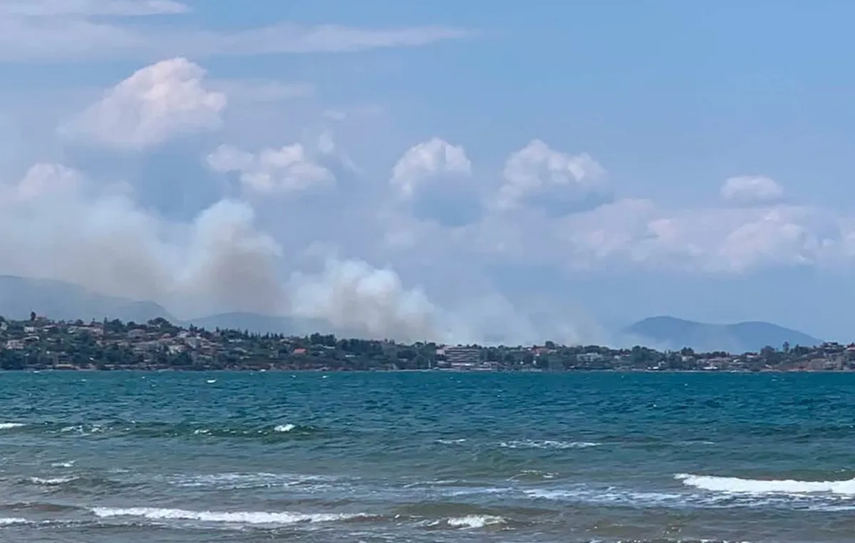 Πυροσβέστες κατασβήνουν φωτιά σε χαμηλή βλάστηση στη Χαλκίδα