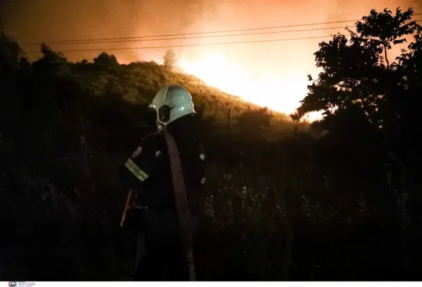 Πυροσβέστες επιχειρούν σε δασική πυρκαγιά στη Θεσσαλονίκη