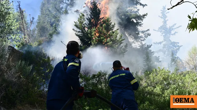 Πυροσβέστες κατασβήνουν τη φωτιά στην Οινούσσα Σερρών