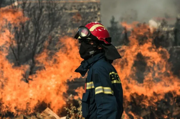 Δασική έκταση σε καθεστώς υψηλού κινδύνου πυρκαγιάς το καλοκαίρι