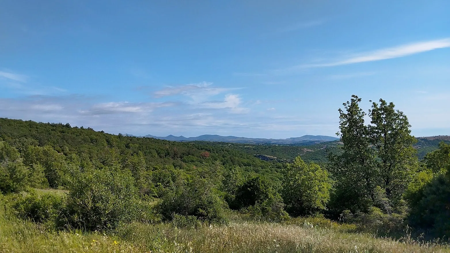 Η 90χρονη βρέθηκε ζωντανή στο βουνό στην Ορμύλια Χαλκιδικής