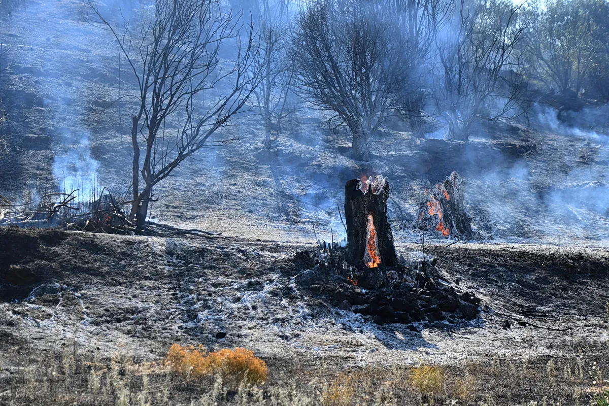Πυροσβέστες σε επιχείρηση κατάσβεσης πυρκαγιάς στο Γύθειο