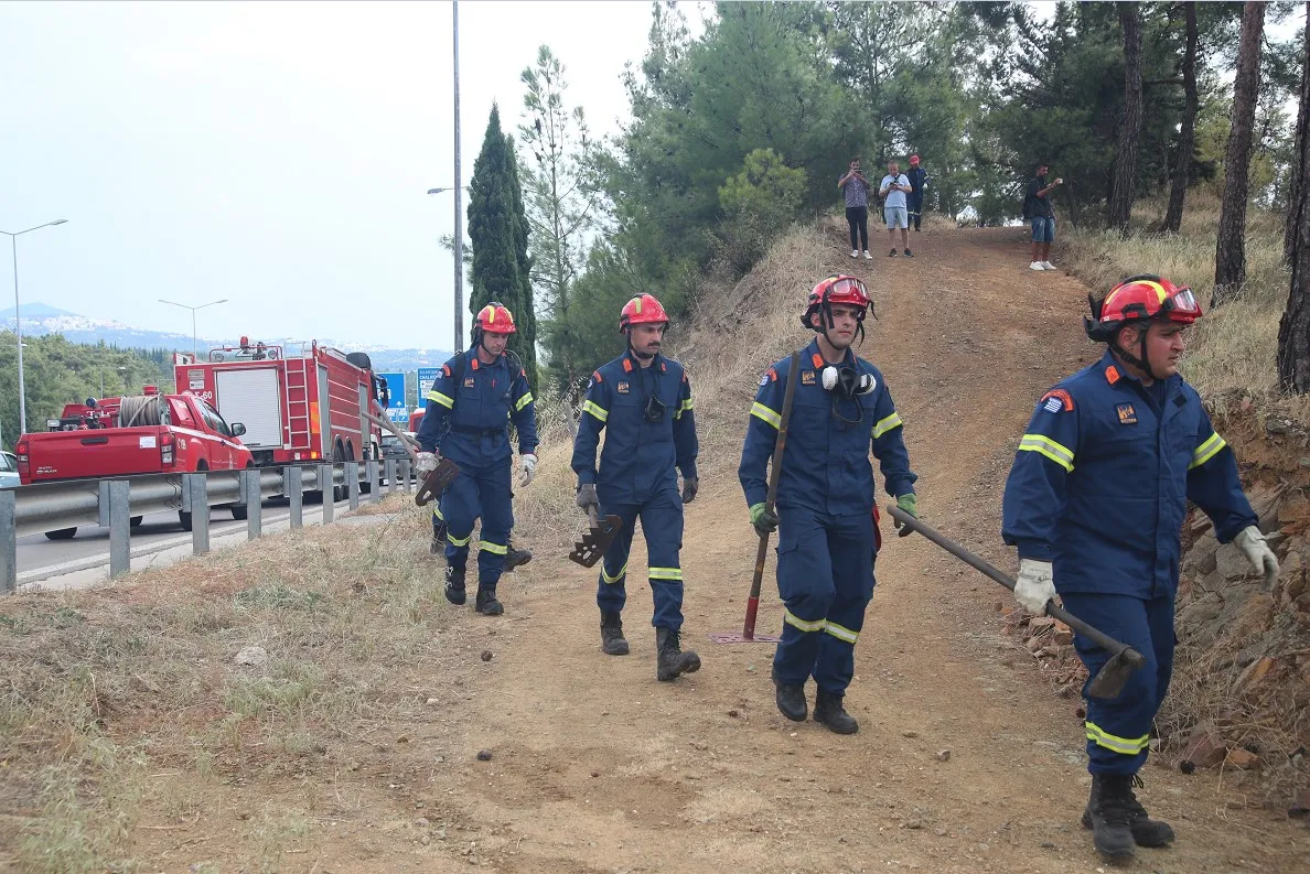 Δασική έκταση Σέιχ Σου με πινακίδα απαγόρευσης κυκλοφορίας