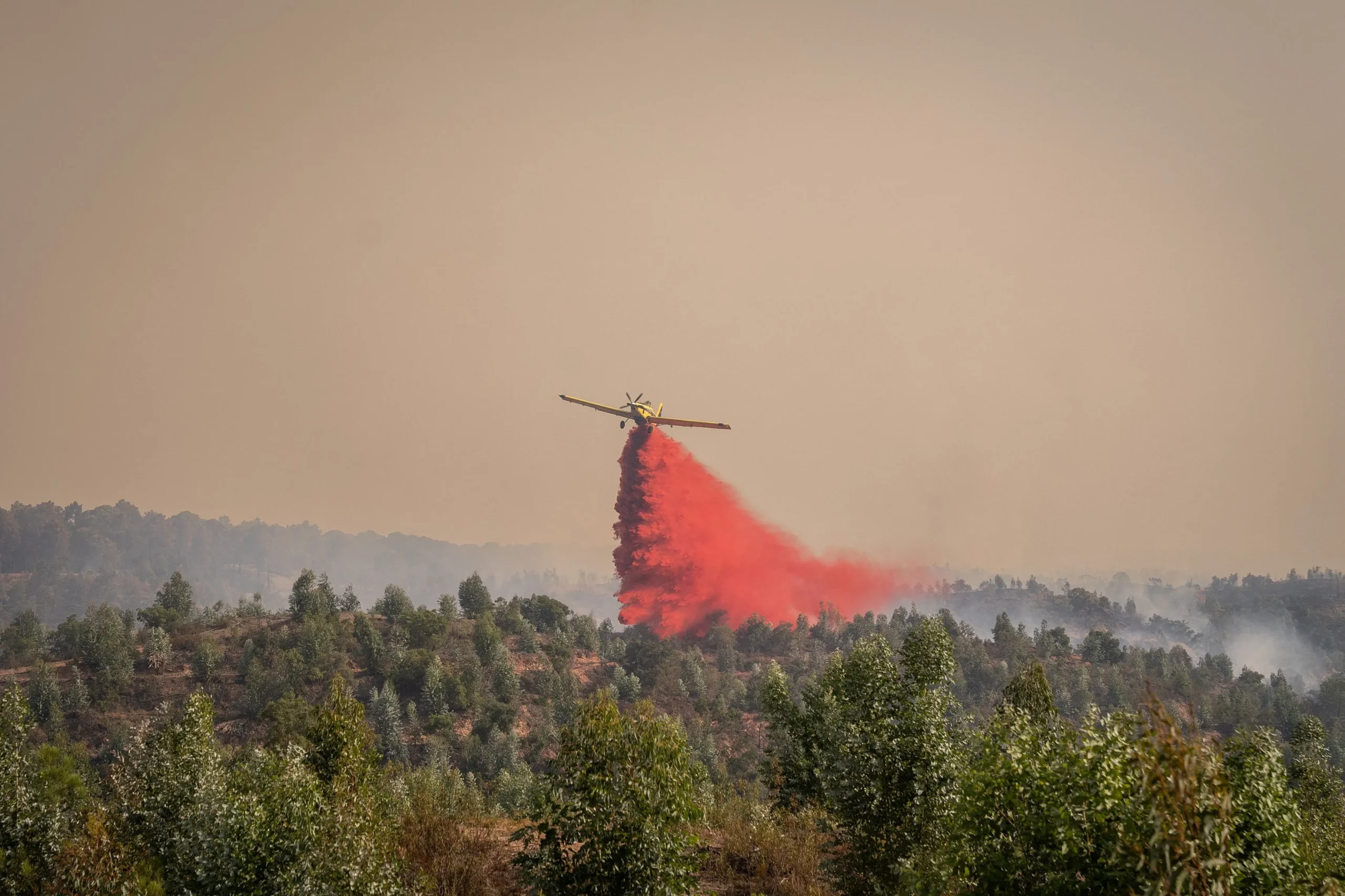 Πυροσβέστες μάχονται με τις φλόγες σε δασική πυρκαγιά στην Ανδαλουσία
