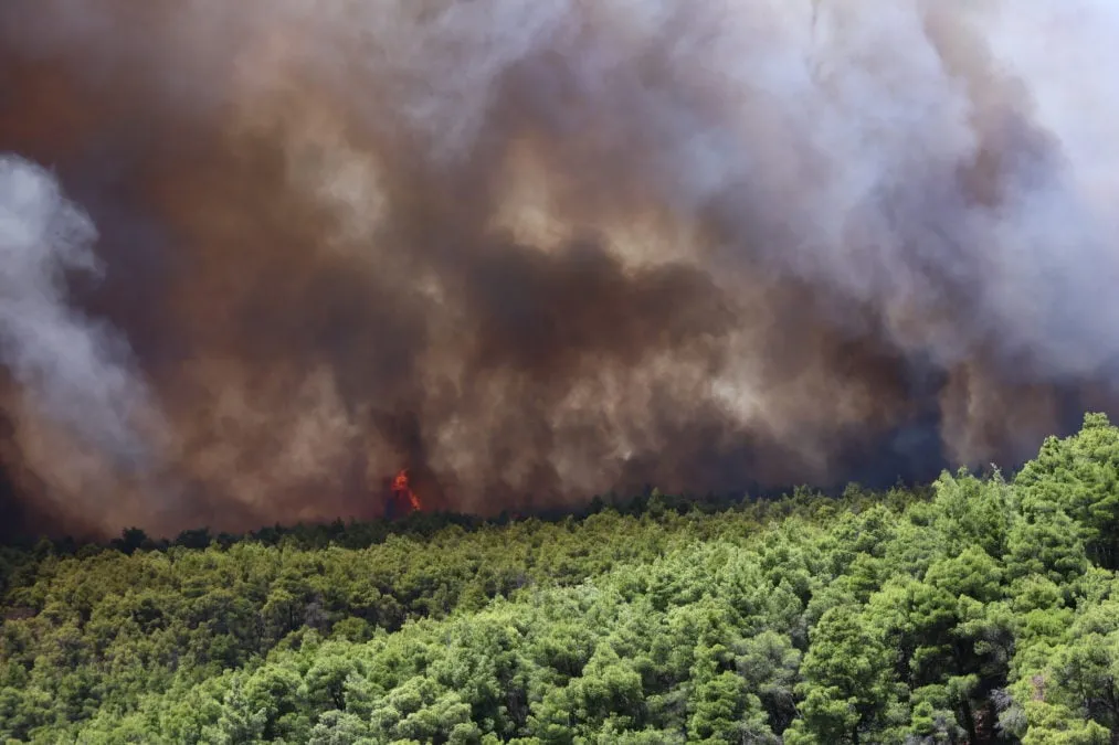 Καμένη έκταση στο Πόρτο Γερμενό μετά την πυρκαγιά