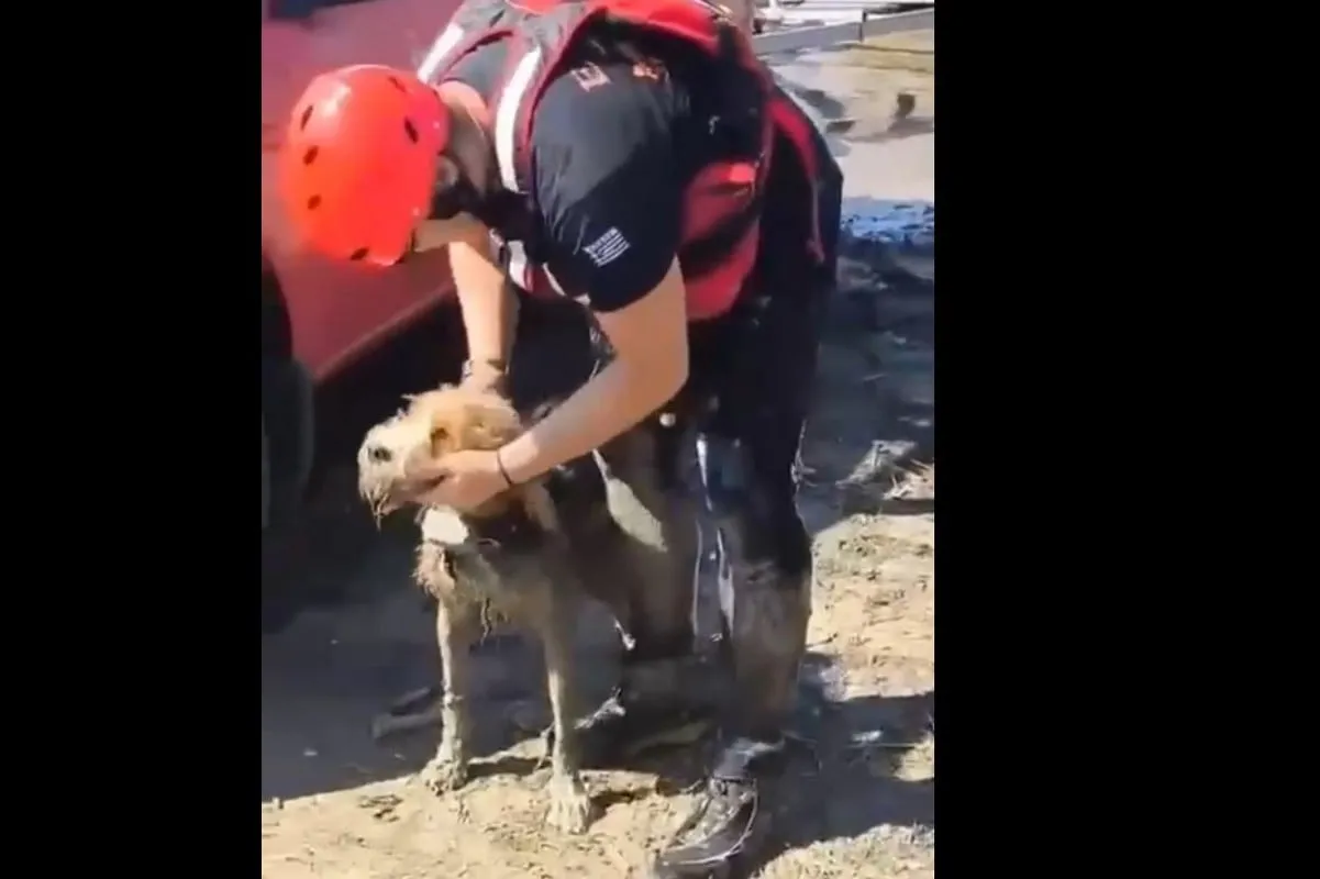 Υπάλληλος πλένει τα πόδια στον νεροχύτη κουζίνας