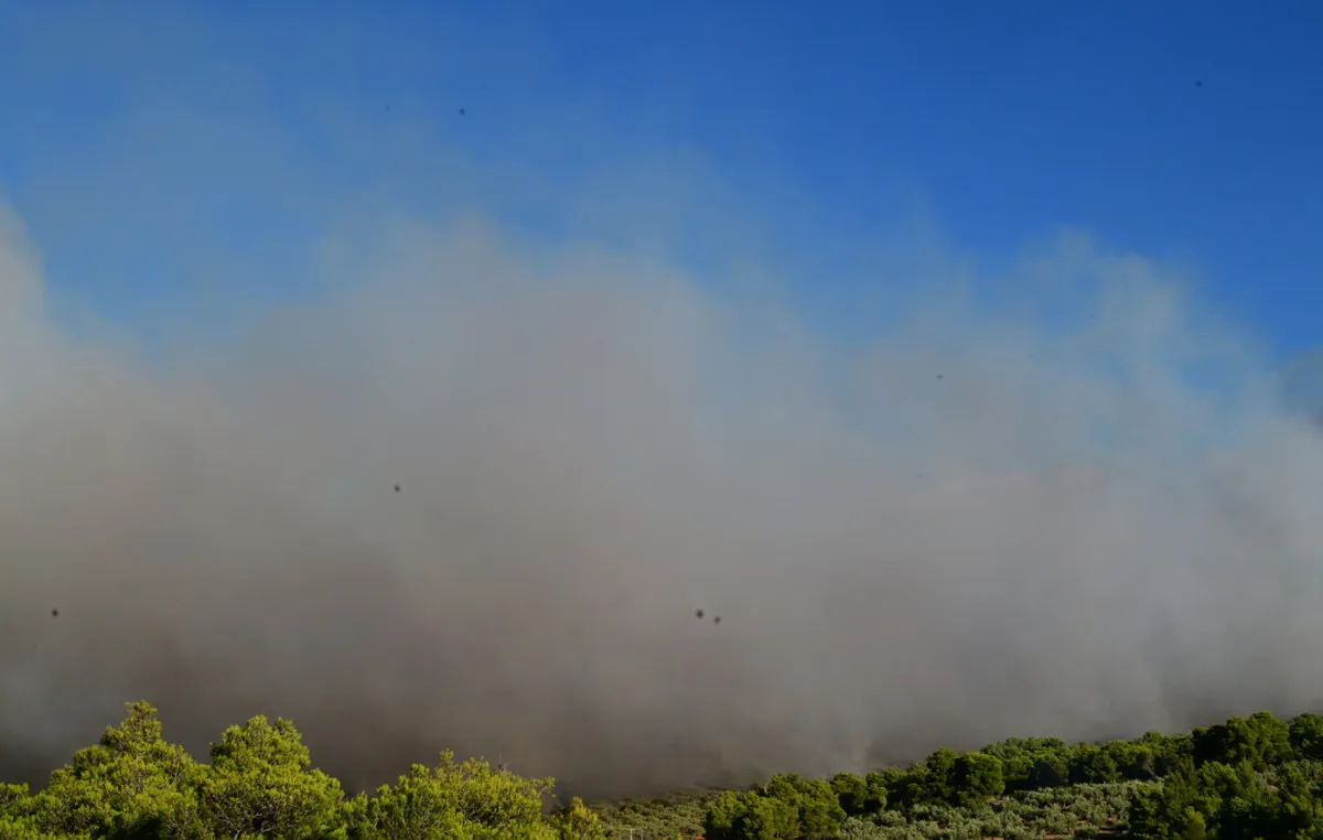 Πυροσβέστες επιχειρούν σε πυρκαγιά στη Φωκίδα