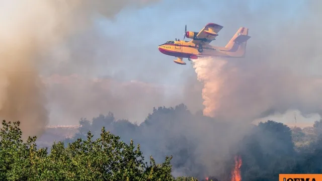 Πυροσβεστικά οχήματα επιχειρούν σε φωτιά στο Κόμιτο Καρύστου