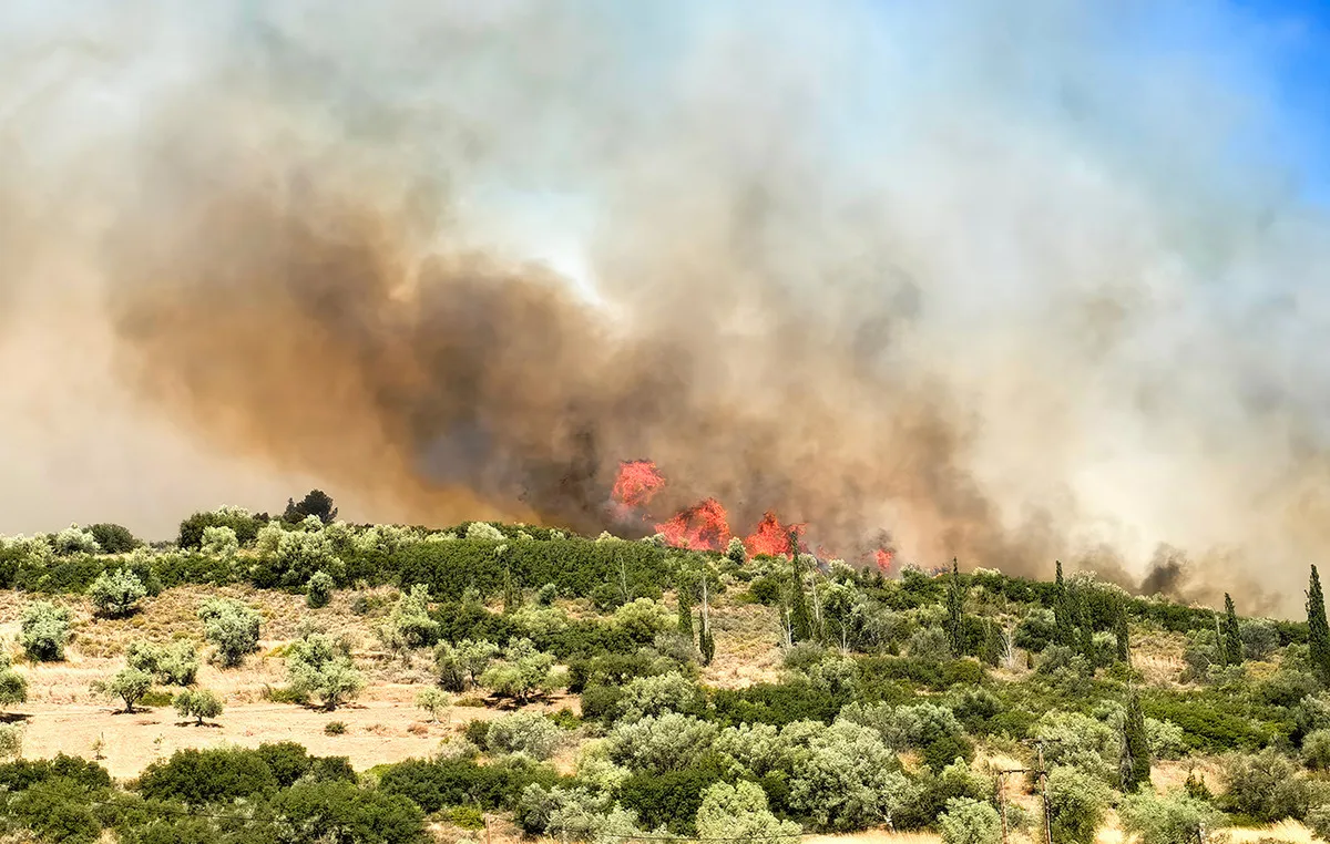 Πυροσβεστικά οχήματα επιχειρούν σε φωτιά στο Πήλιο