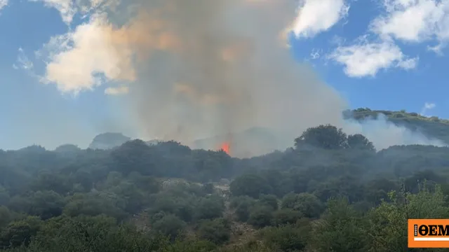 Πυροσβεστικά αεροσκάφη ρίχνουν νερό σε δασική πυρκαγιά στη Λαμπεία Ηλείας