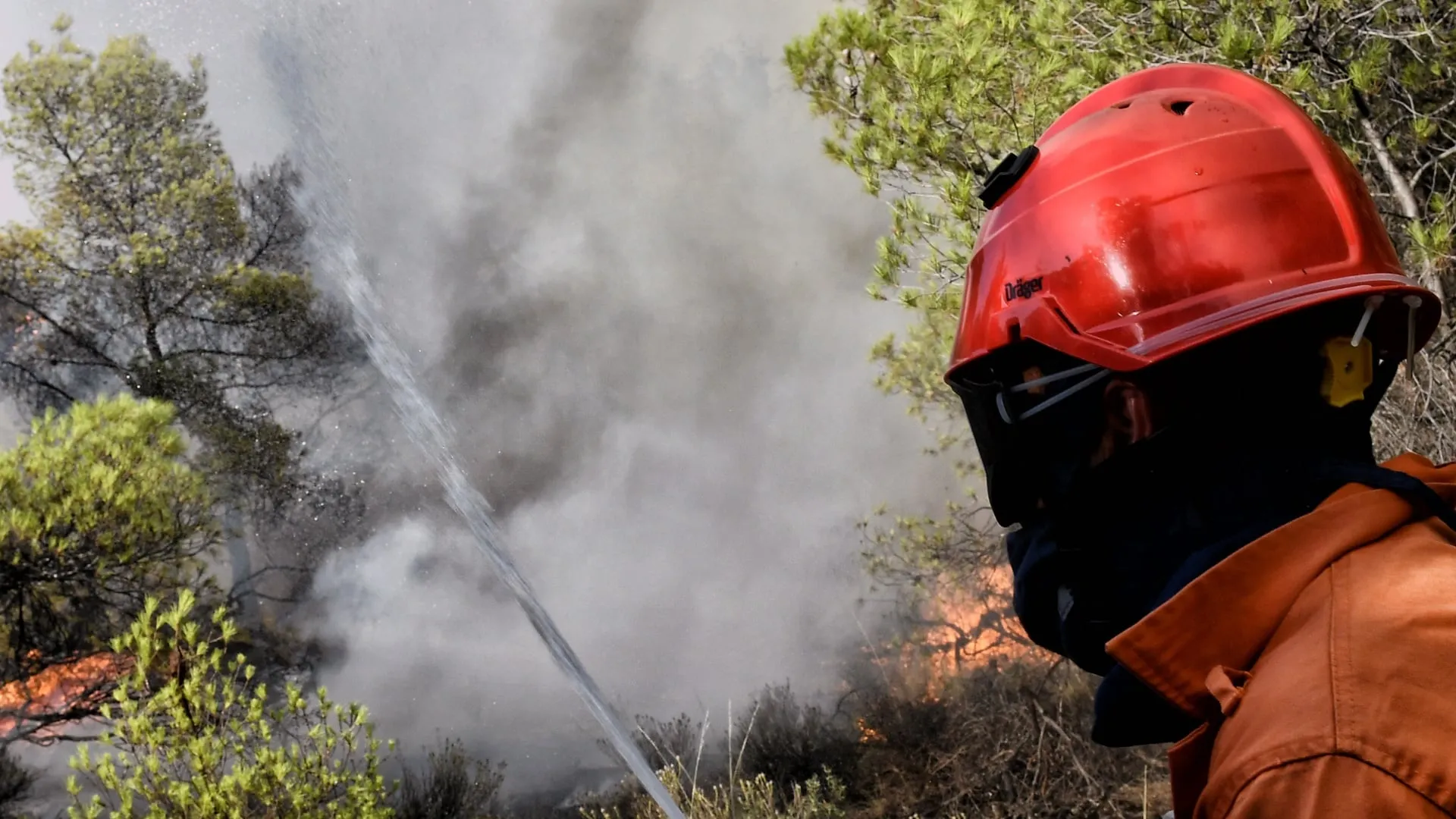 Πυροσβέστες κατασβήνουν φωτιά σε χαμηλή βλάστηση στις Σέρρες