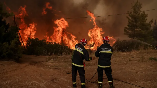 Πυροσβέστες επιχειρούν σε δασική πυρκαγιά