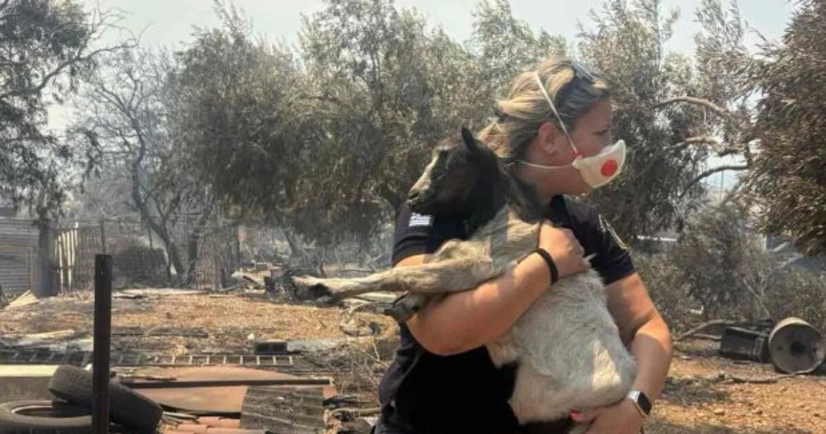 Αστυνομικός κρατά κατσικάκι μέσα σε καπνούς από πυρκαγιά