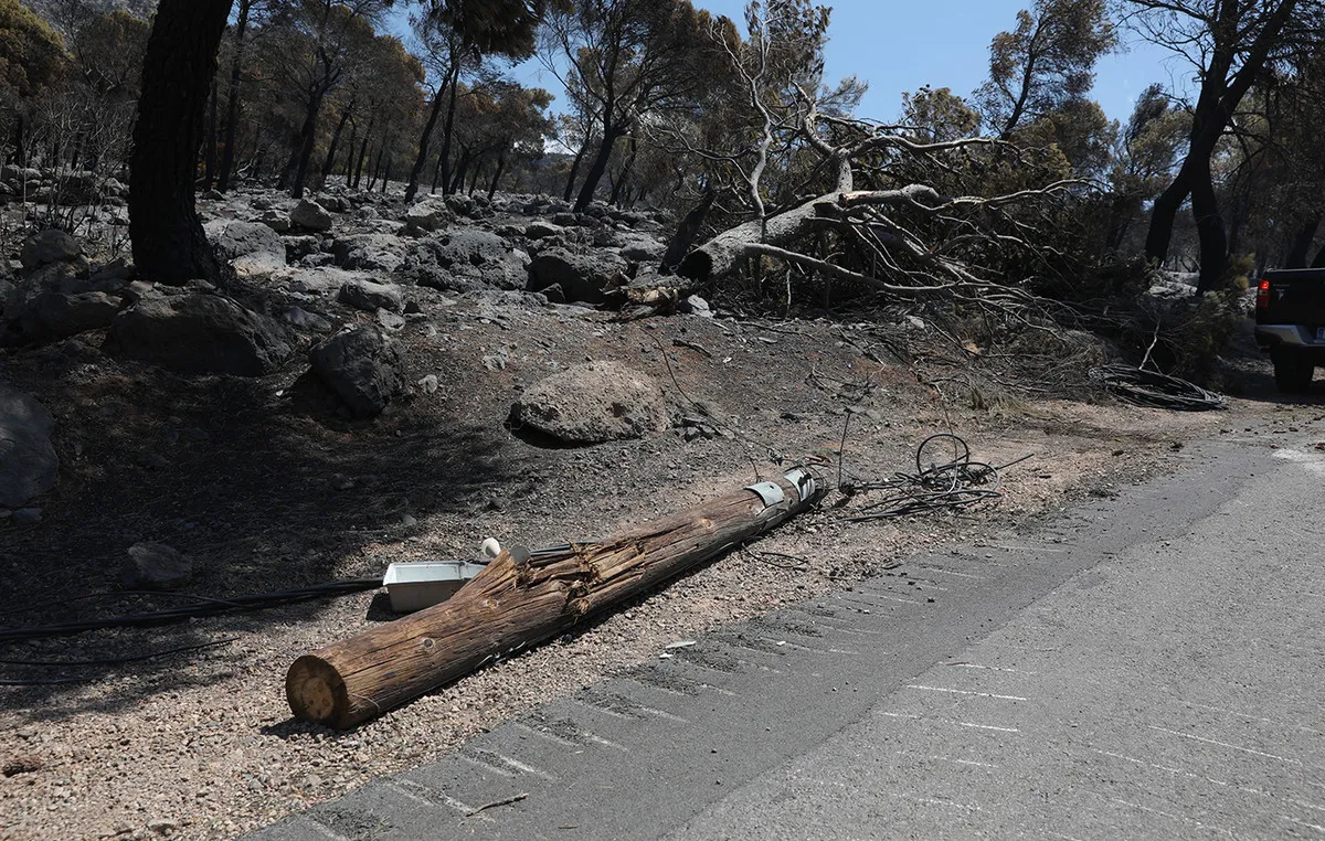 Τραυματισμένος σκύλος στο Πόρτο Γερμενό μετά τη φωτιά