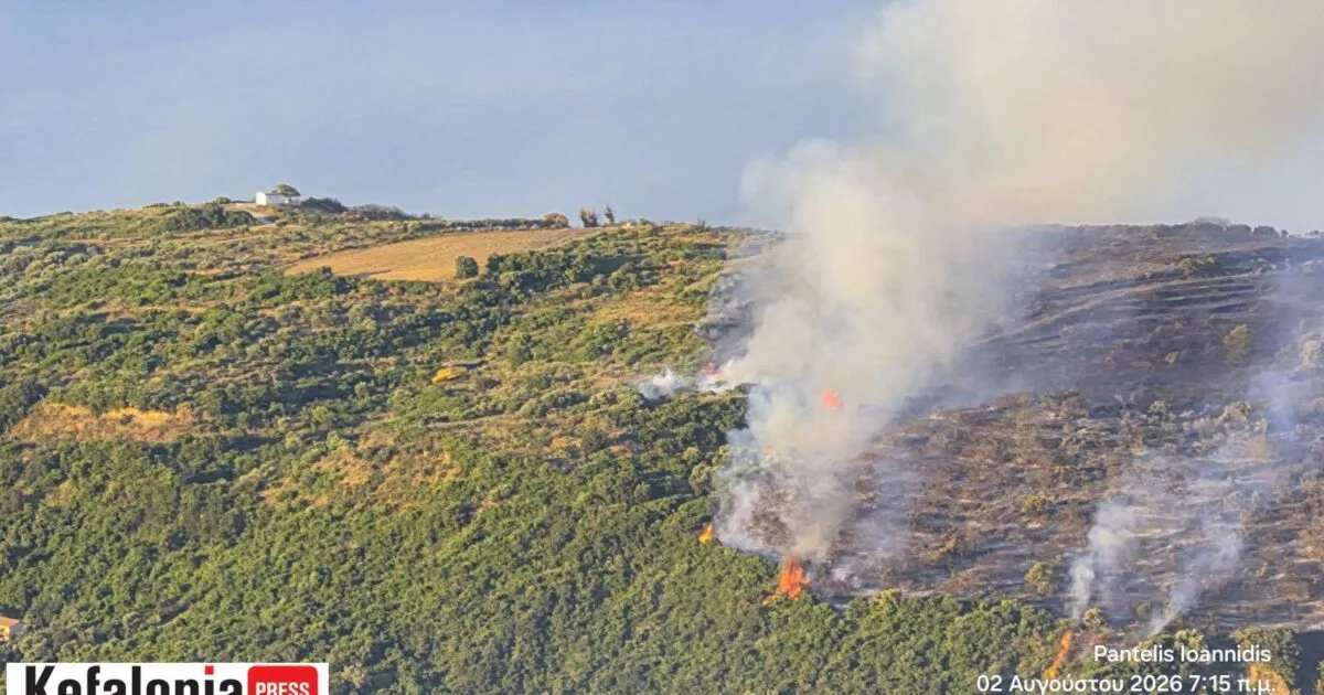 Πυρκαγιά και πυροσβέστες στην Κεφαλονιά τη νύχτα