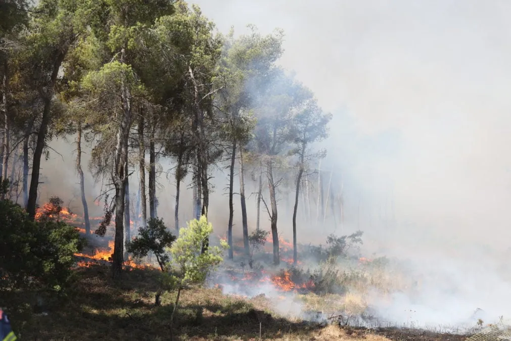 Καπνός από πυρκαγιά στην Αττικοβοιωτία με ισχυρούς ανέμους