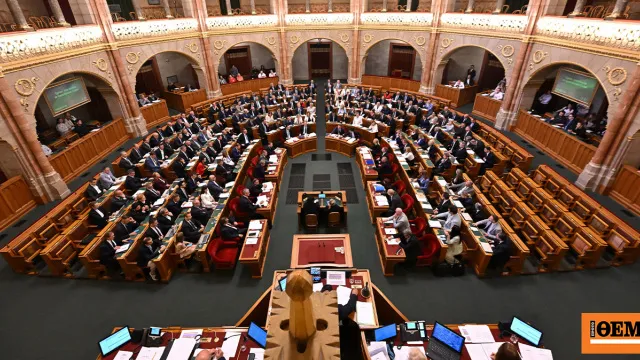 Εθελοντές μαζεύουν ελιές από δέντρα σε πεζοδρόμιο της Γλυφάδας