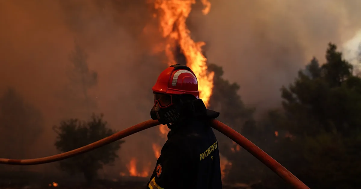 Πυροσβεστικό αεροσκάφος επιχειρεί σε φωτιά σε χαμηλή βλάστηση