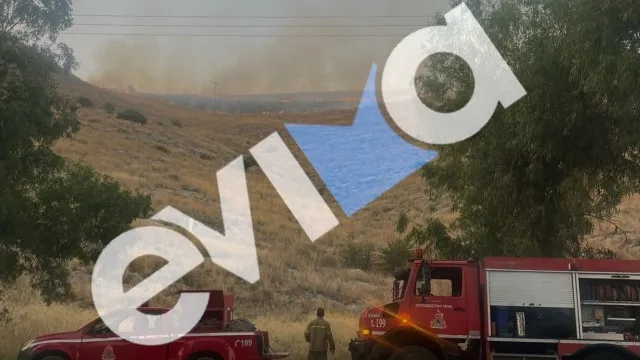 Πυροσβέστες επιχειρούν σε φωτιά σε χαμηλή βλάστηση στη Χαλκίδα