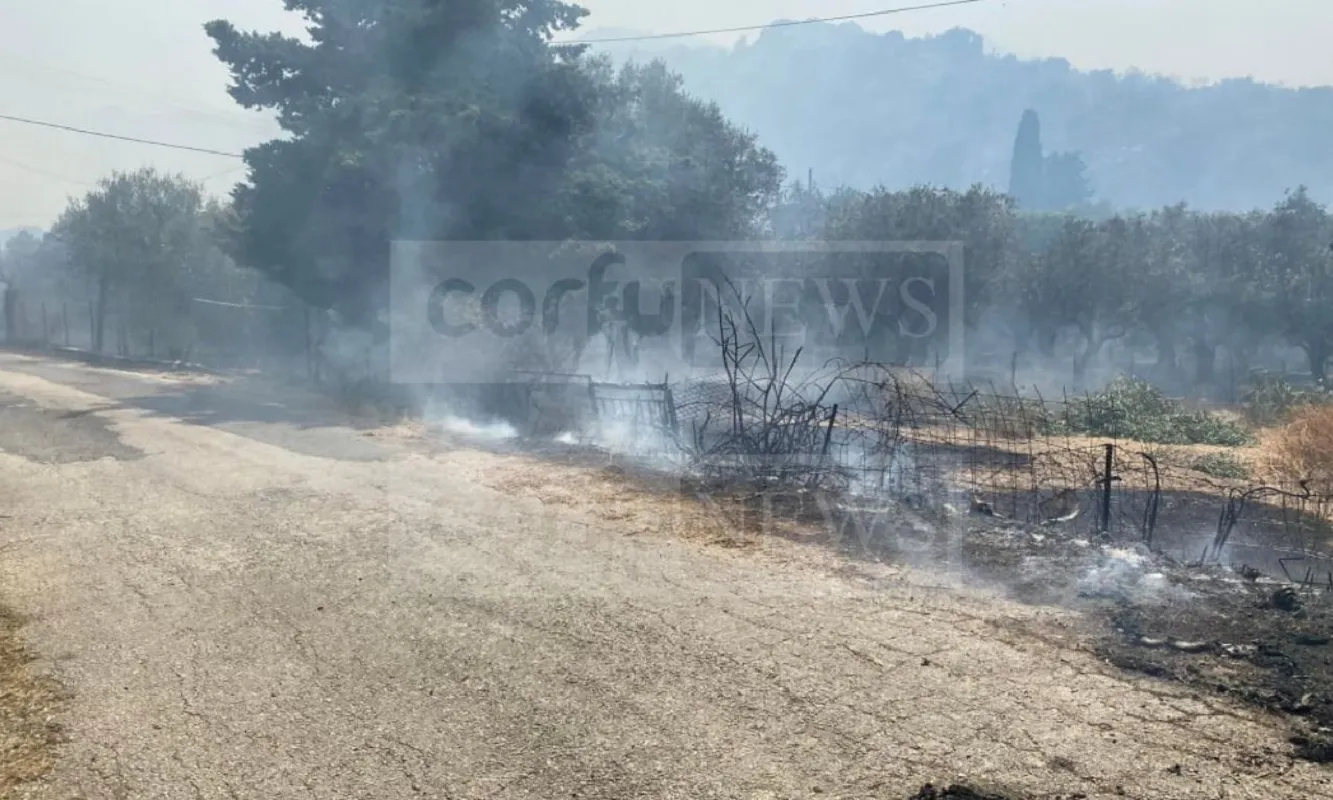 Πυροσβεστικό αεροσκάφος ρίχνει νερό σε φωτιά στην Κέρκυρα