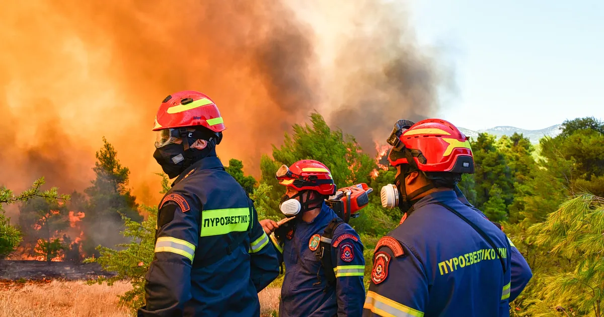 Πυροσβέστες επιχειρούν σε φωτιά στα Ζωνιανά Κρήτης