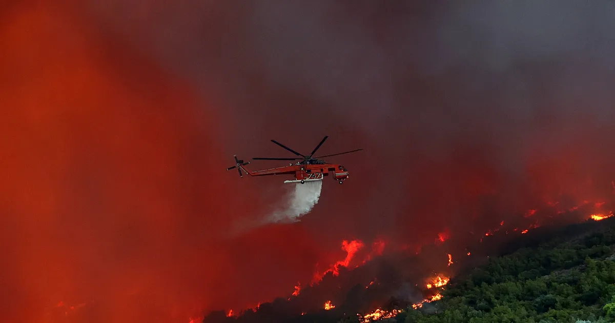 Πυροσβέστες επιχειρούν σε πυρκαγιά στη Χαλκιδική