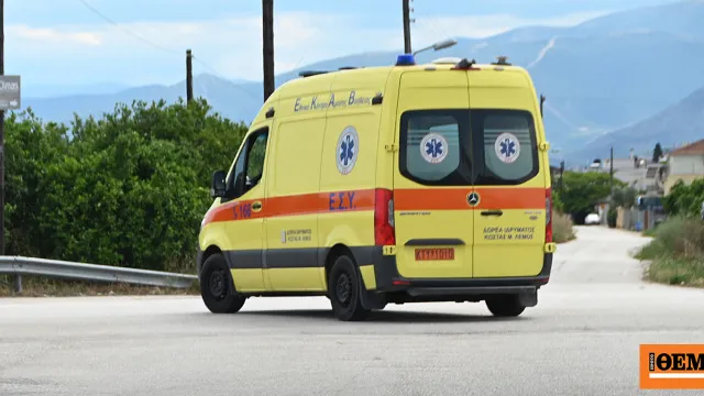 Πυροσβέστες κατά τη διάσωση ανδρά στον Όλυμπο