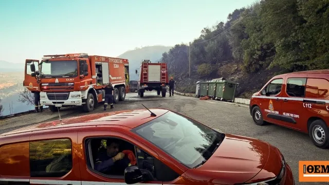 Πυρκαγιά σε δασική περιοχή την καλοκαιρινή περίοδο