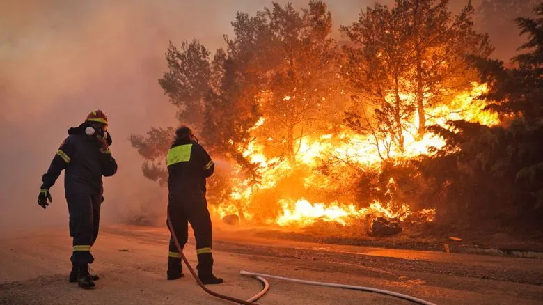 Δασική πυρκαγιά και σήμα απαγόρευσης κυκλοφορίας στη Χαλκιδική