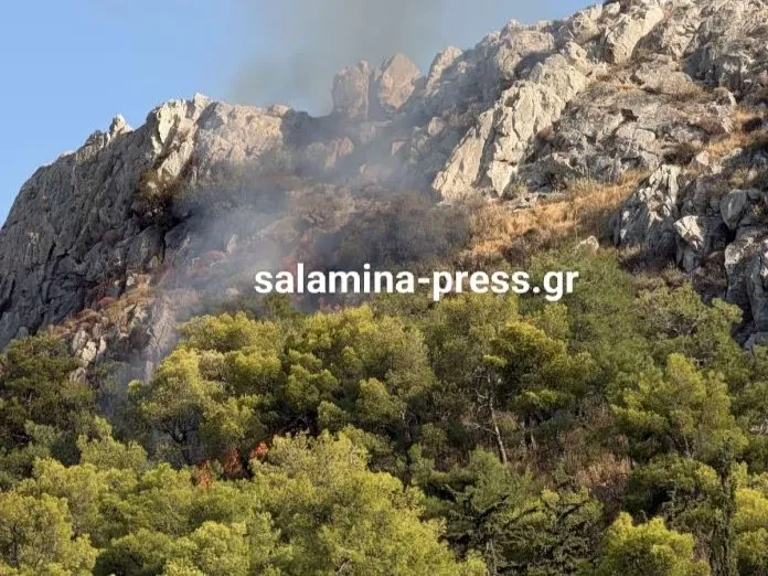 Πυροσβέστες κατασβήνουν φωτιά στον Προφήτη Ηλία Σαλαμίνας