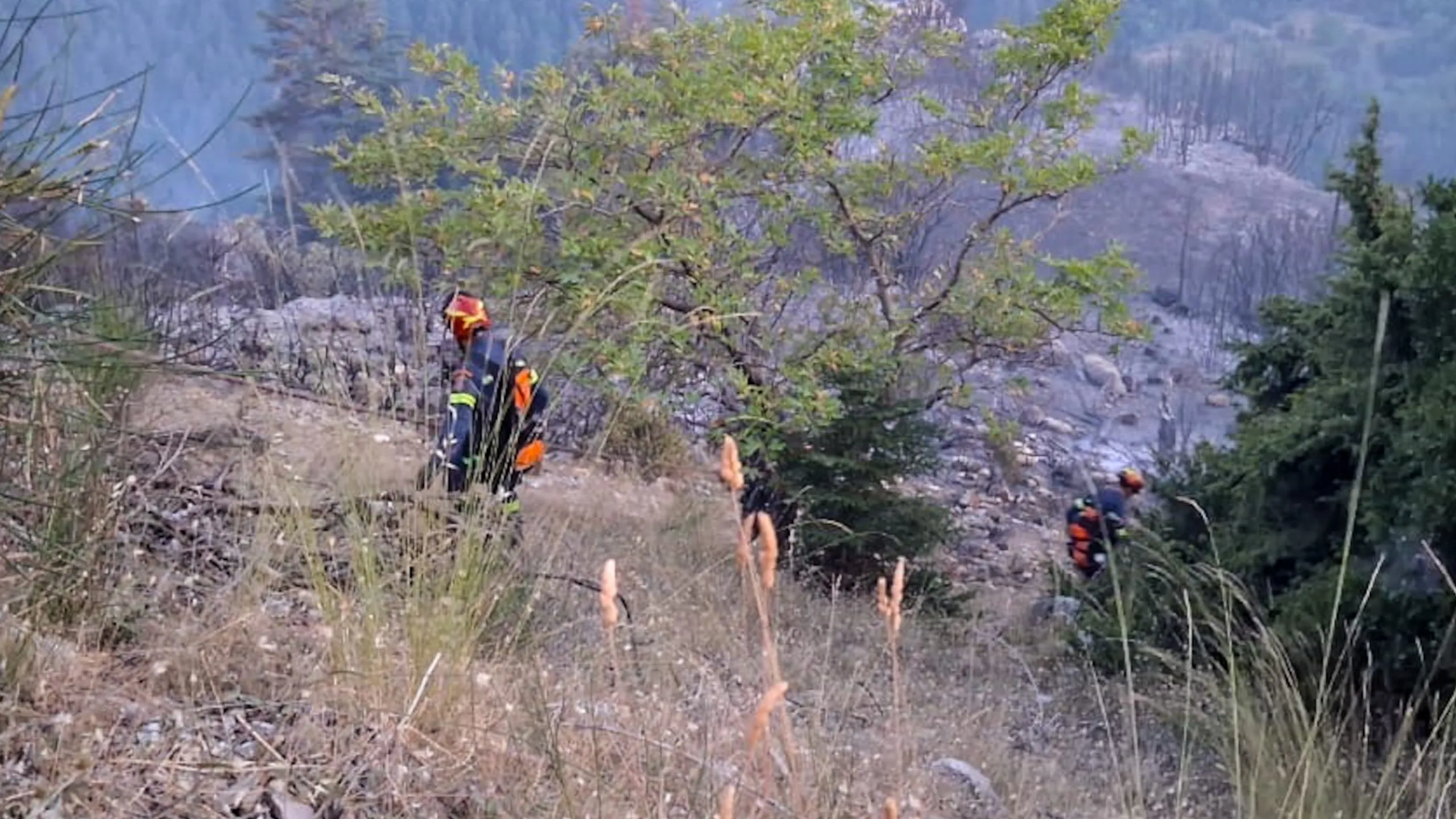 Δορυφορική χαρτογράφηση καμένων εκτάσεων στη Σκύρο