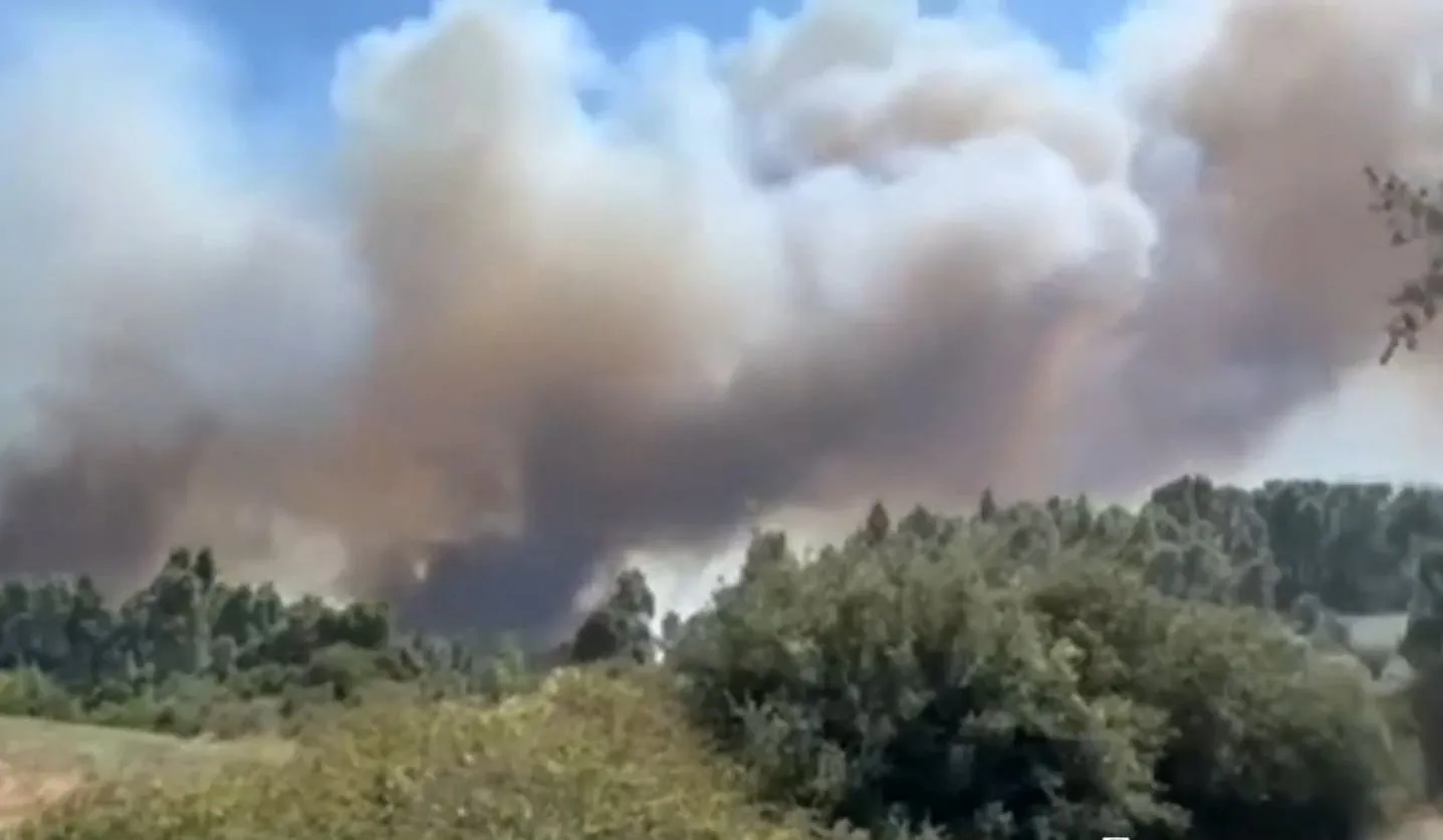 πυρκαγιά στη Χαλκιδική με φλόγες και καπνό