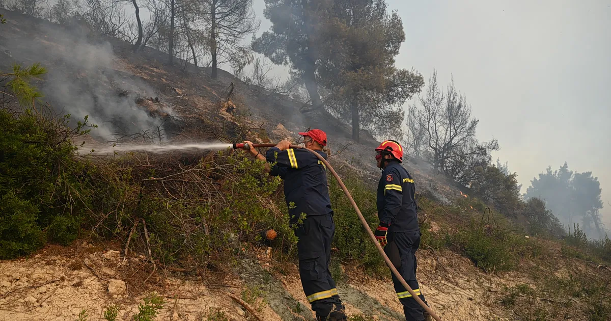 Πυροσβεστικό ελικόπτερο ρίχνει νερό σε δασική πυρκαγιά