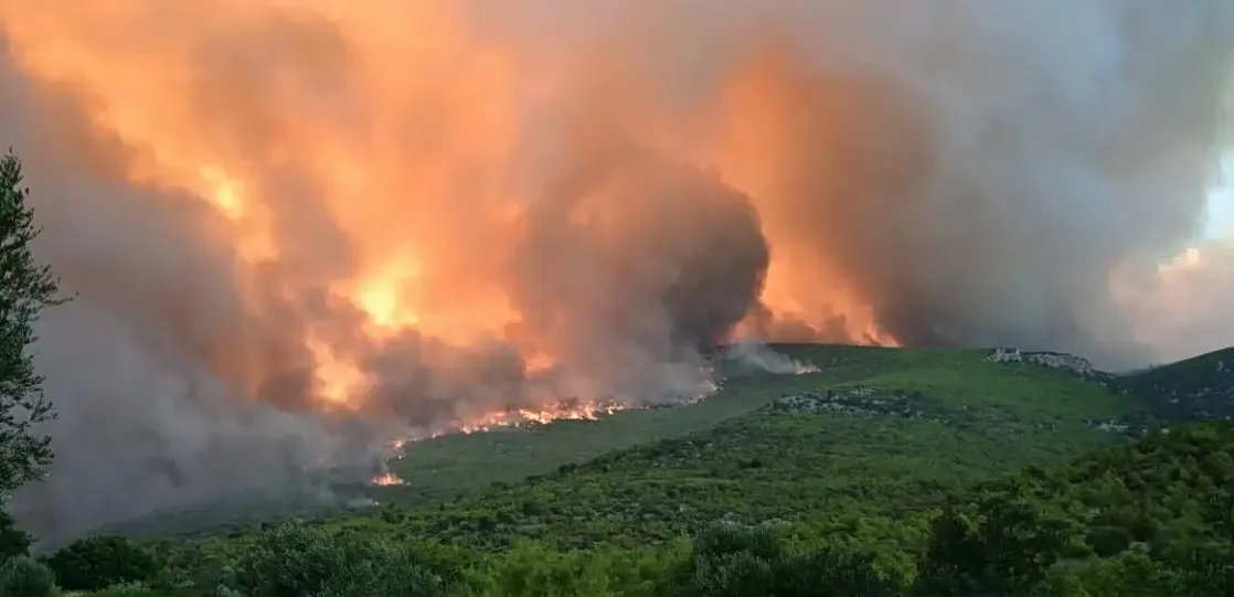 Καμένη έκταση από την φωτιά στην Αττικοβοιωτία