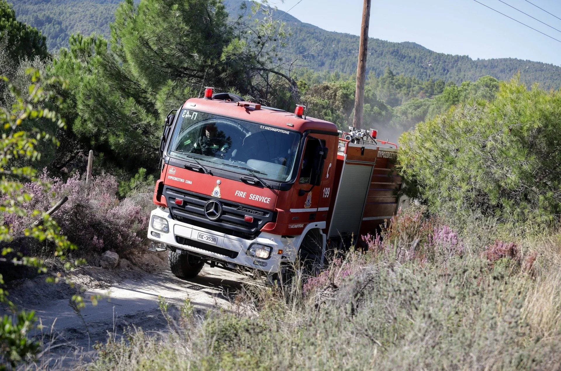 Δασική περιοχή στη Χαλκιδική με απαγόρευση κυκλοφορίας