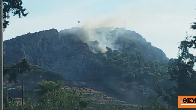 Πυροσβέστες κατασβήνουν φωτιά στον Προφήτη Ηλία Σαλαμίνας