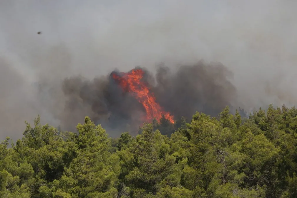 πυρκαγιά στη Δυτική Αττική με πυροσβεστικά οχήματα
