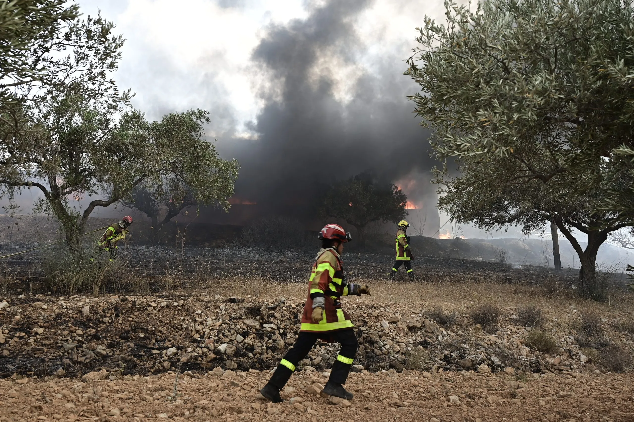 Πυροσβεστικά οχήματα επιχειρούν σε πυρκαγιά σε δασική έκταση