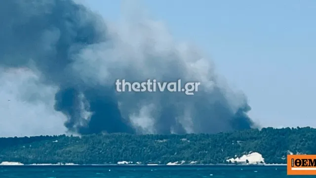 Πυροσβεστικό αεροσκάφος ρίχνει νερό σε δασική πυρκαγιά