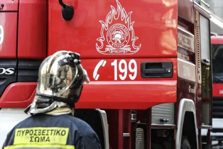 Δασική περιοχή στη Χαλκιδική με απαγόρευση κυκλοφορίας