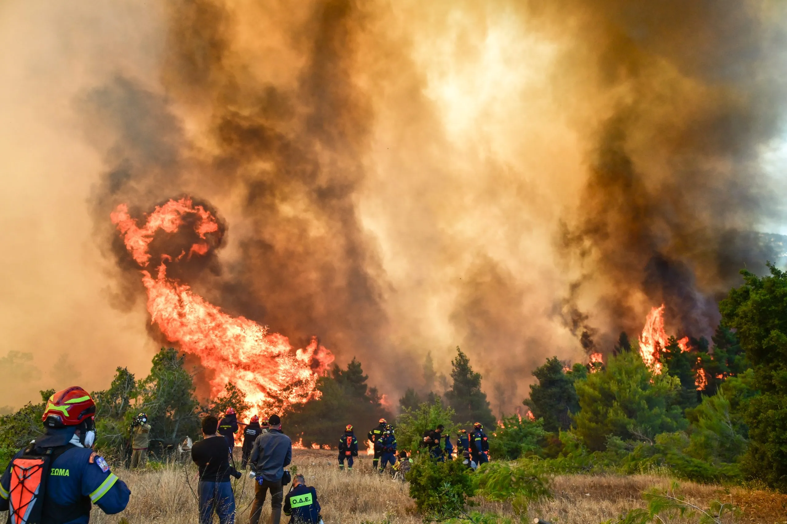 Καμένη έκταση μετά από πυρκαγιά σε ελληνικό δήμο