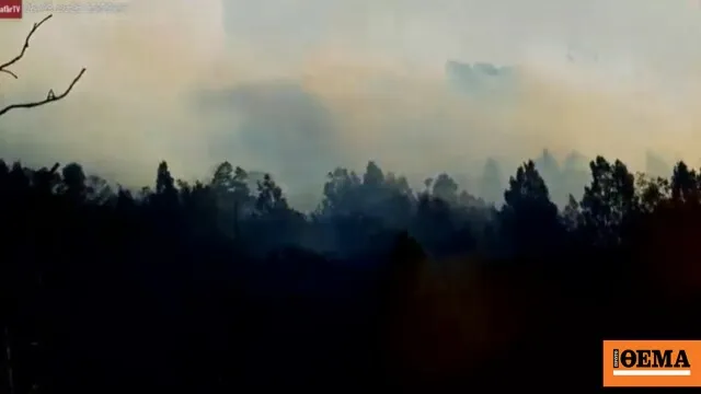 Πυρκαγιά στο όρος Μπρόμο στην Ινδονησία