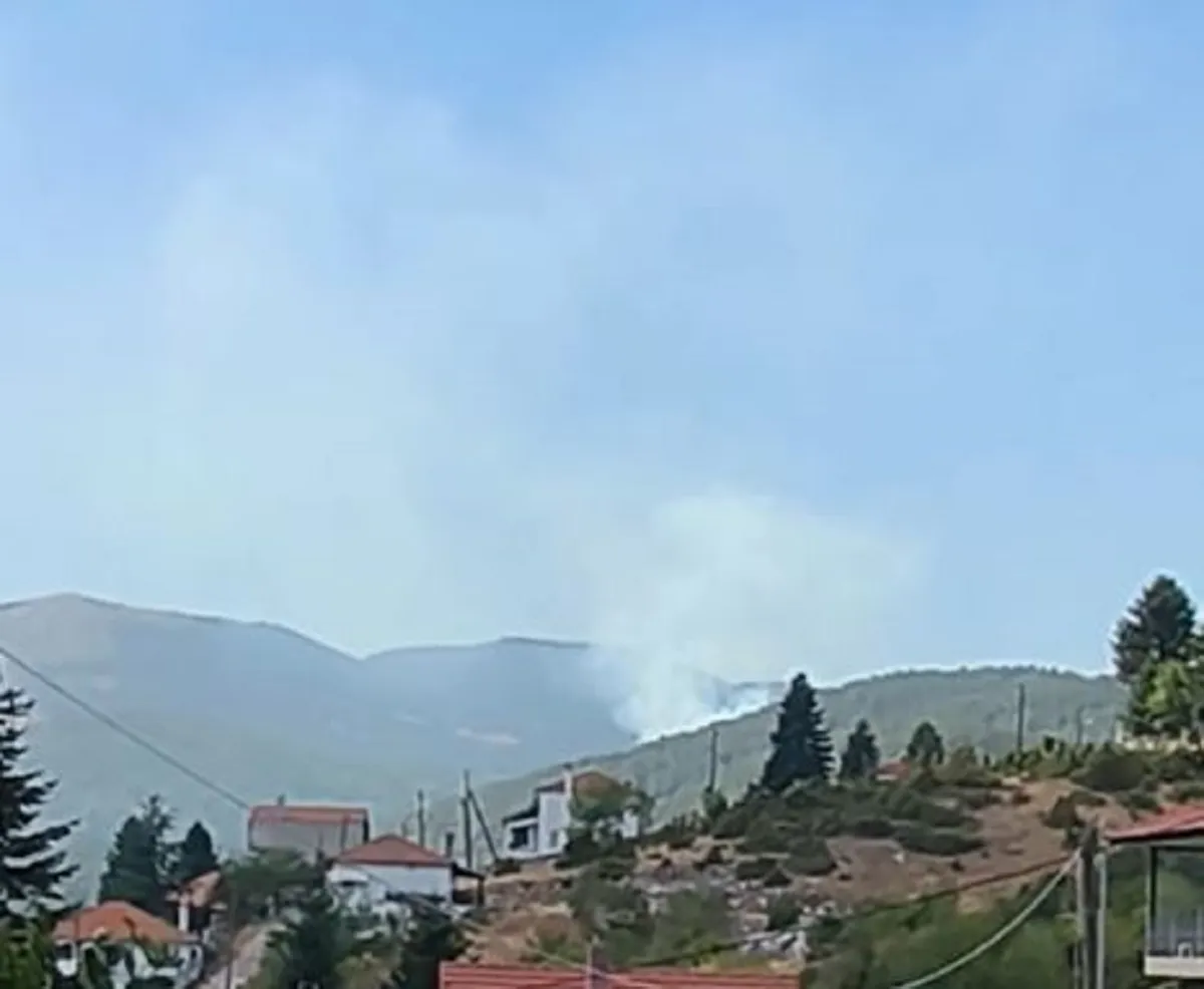 Πυροσβεστικό αεροσκάφος ρίχνει νερό σε δασική φωτιά