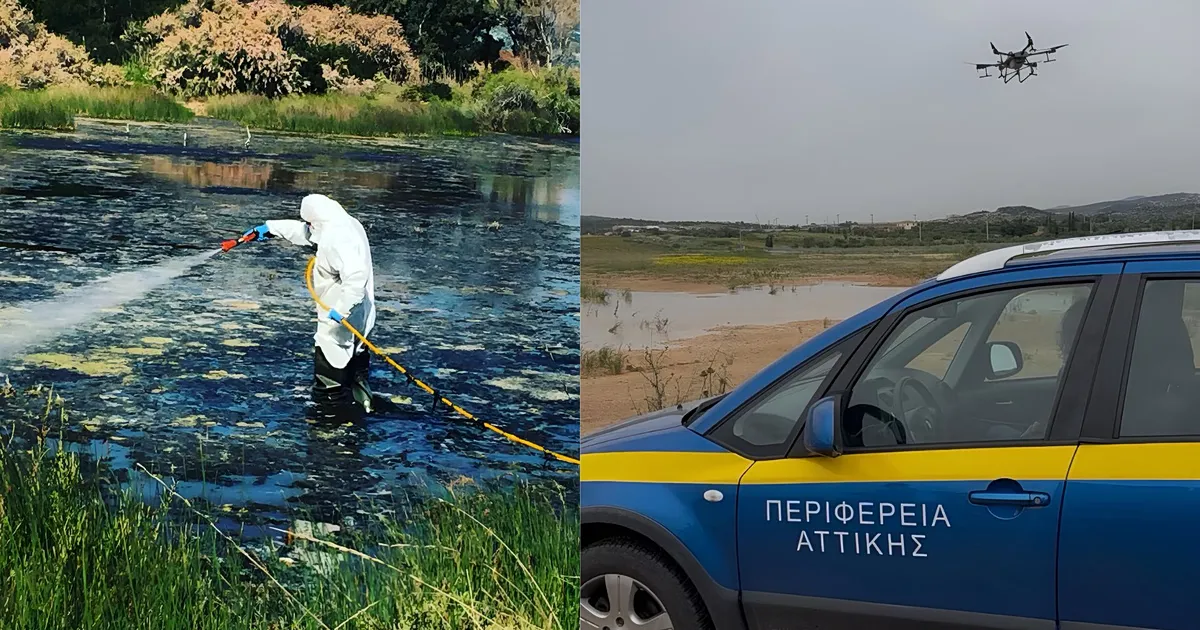 Κουνούπι μεταδίδει τον ιό Δυτικού Νείλου στην Αττική