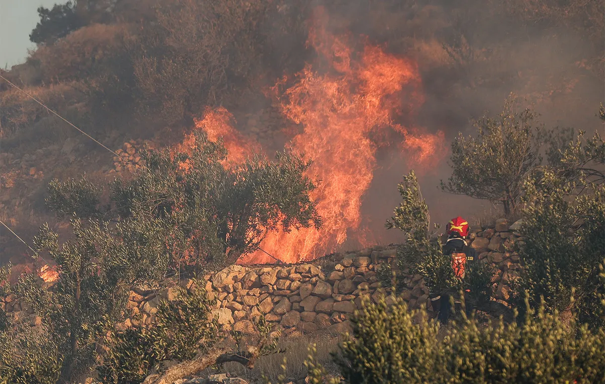 Δασική περιοχή στη Χαλκιδική με απαγόρευση κυκλοφορίας